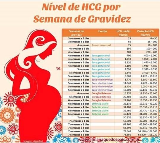 nivel de hcg