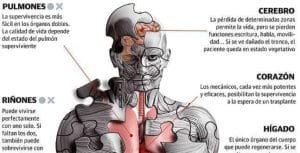 ¿Qué tipos de muertes existen científicamente?