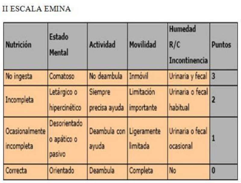 Escalas de Úlceras por presión