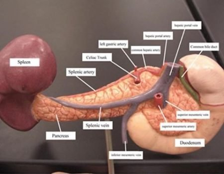 Varices esofágicas y gástricas 