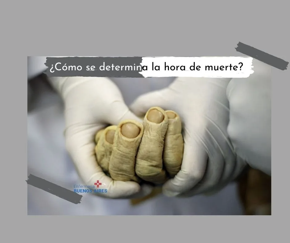 ¿Cómo se determina la hora de muerte?
